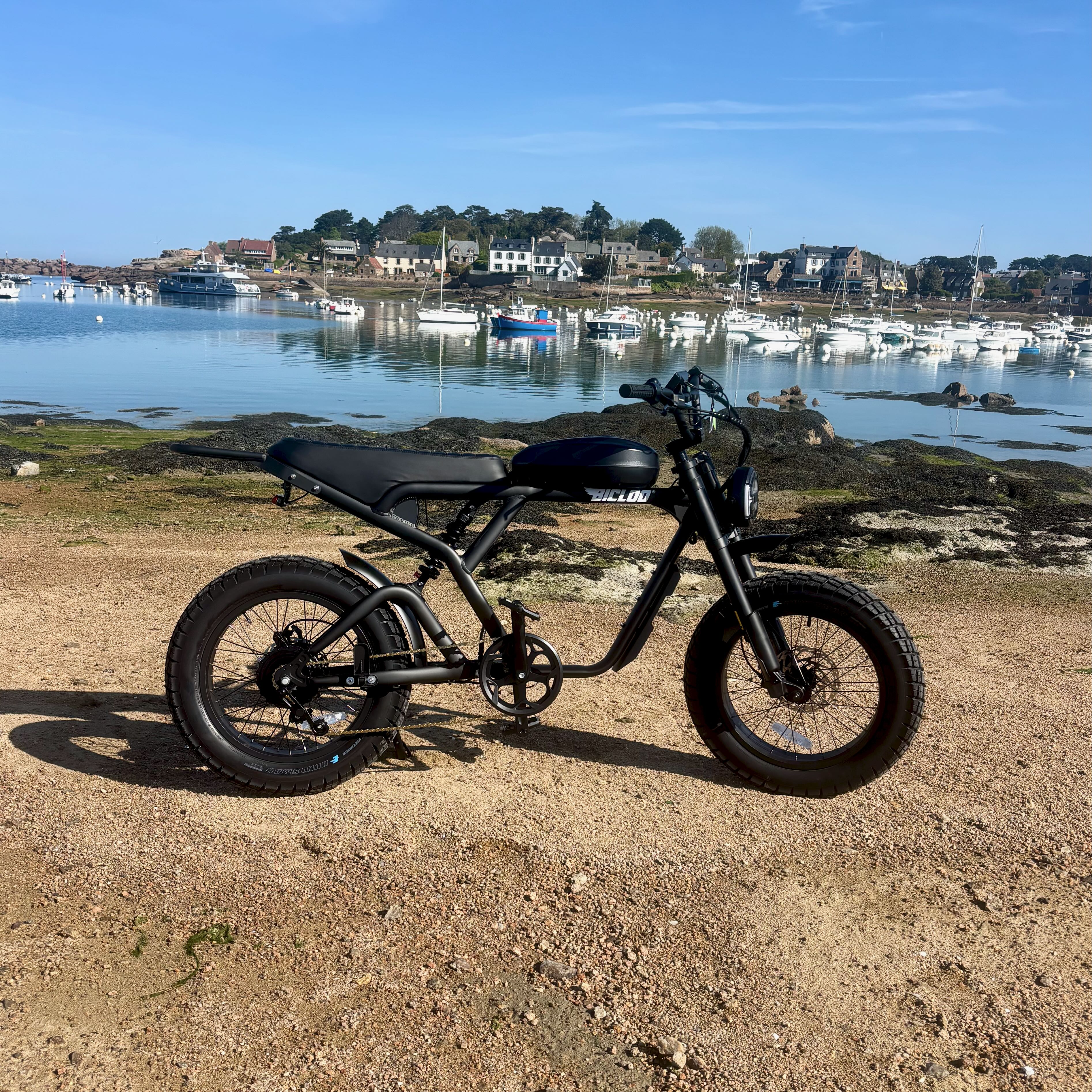 Fat bikes exposés