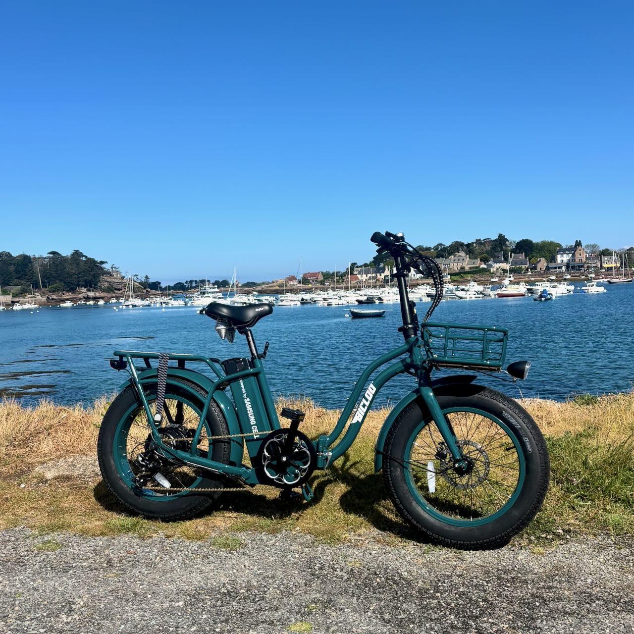 BICLOU®2 Vert — Fat bike électrique BOUBOU BICLOO® extérieur