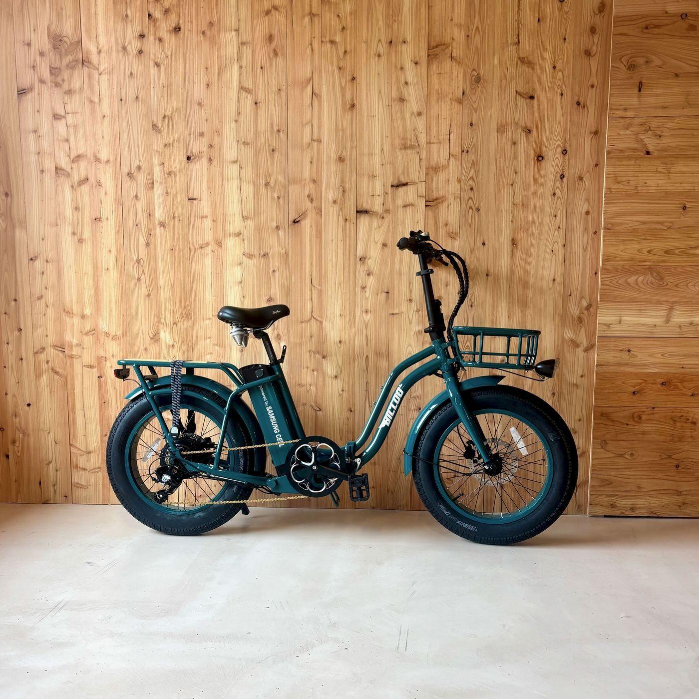BICLOU®2 Vert — atelier Ploumanac'h