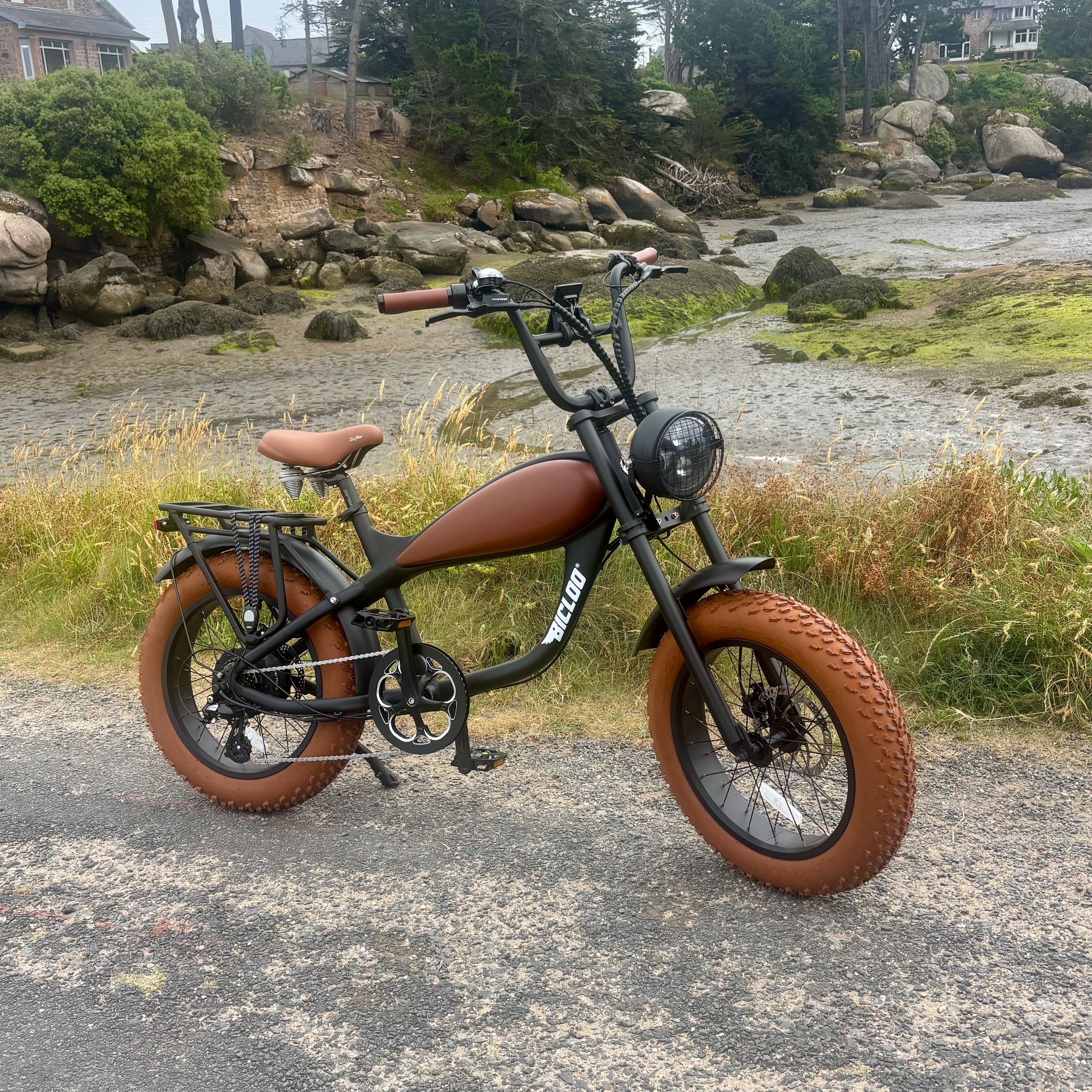 EAGLE® Noir & Marron — Fat bike électrique tout-terrain BOUBOU BICLOO® Ploumanac'h