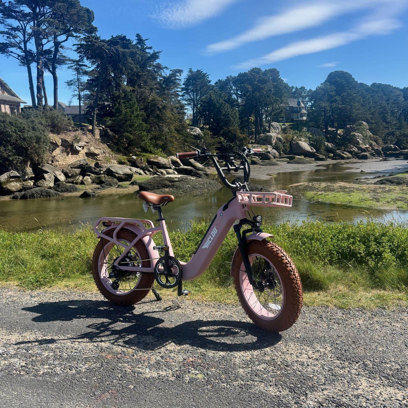 RUNABOUT® Rose & Marron extérieur