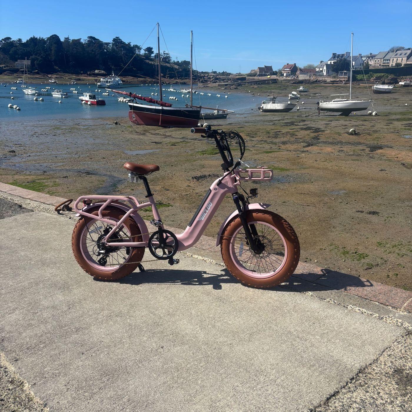 RUNABOUT® Rose extérieur Bretagne