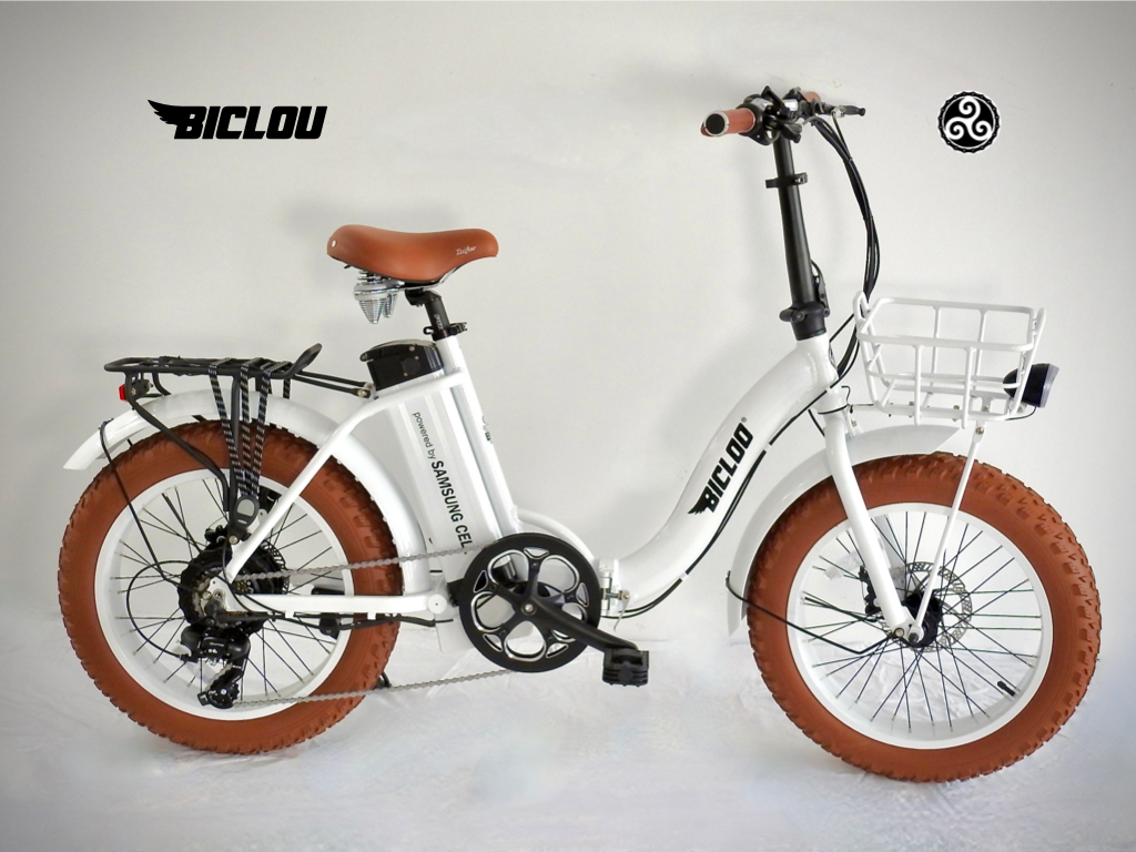 Vélo électrique pas cher  +400 modèles de vélo à assistance