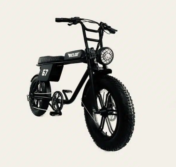 FAT BIKE ÉLECTRIQUE VINTAGE SUPER 67®