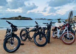 modèles de vélos électriques