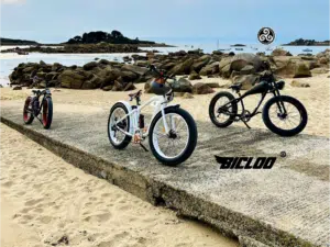 mesures vélos électriques